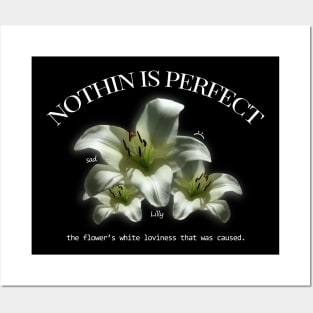 Nothing is perfect Posters and Art